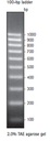 SIGMA-ALDRICH MARCADOR PERFECT DNA 100 pb, NOVAGEN, FORMATO LISTO PARA CARGAR - 100 RX