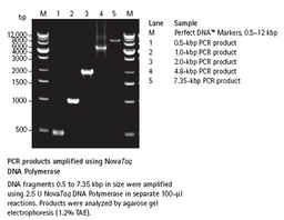 [71003-4] SIGMA-ALDRICH NOVA TAQ ADN POLIMERASA, ENZIMA RECOMBINANTE ULTRAPURA PARA AMPLIFICACIÓN DE PCR CONFIABLE - 500U