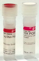 [D1806] SIGMA TAQ DNA POLYMERASE FROM THERMUS AQUATICUS WITH 10X PCR REACTION BUFFER CONTAINING MGCL2 - 5 KU