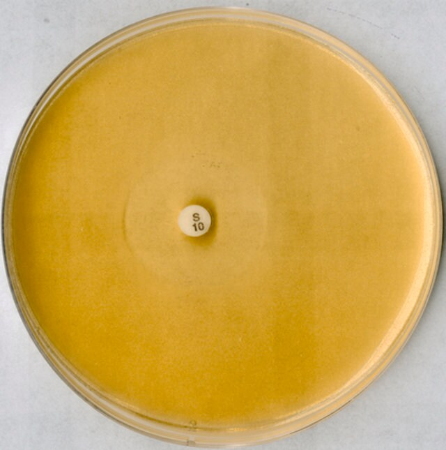 AGAR PARA ANTIBIOTICO NÚM 5 PARA MICROBIOLOGIA 500 G MERCK