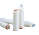 CARTUCHO MILLIPORE TIPO AEREX DE 0.2 UM PORO ABSOLUTO Y 10" DE LONGITUD, MEMBRANA DE TEFLON PTFE, CODIGO 7 UNIDAD
