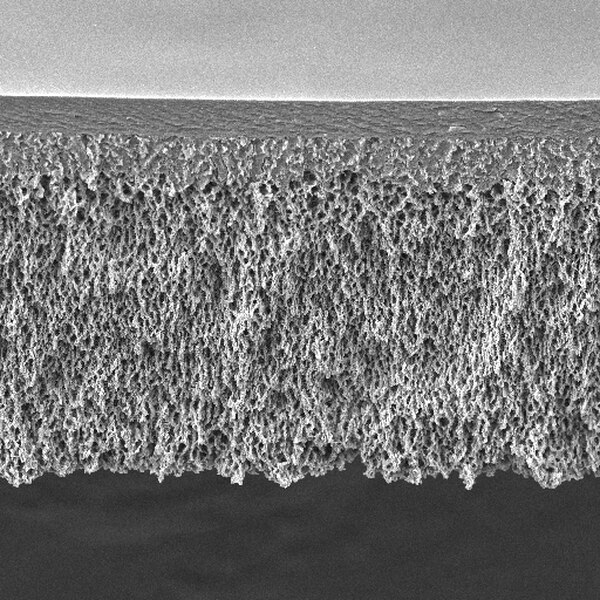 DISCOS DE MEMBRANA DE ULTRAFILTRACION ULTRACEL PL, CELULOSA REGENERADA, DE 5 KDA.DIAMETRO DEL FILTRO 76 MM. PAQUETE POR 10 MEMBRANAS. MARCA MILLIPORE