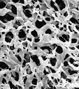 MEMBRANA MILLIPORE TIPO DURAPORE PVDF WH DE 5 UM, 47 MM DE DIAMETRO PAQ/100