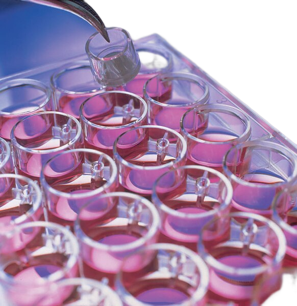MILLICELL CELL CULTURE INSERT 24 WELL, 12 MM, HYDROPHILIC PTFE, 0.4 µM, 50 INDIVIDUALLY BLISTER PACKAGED