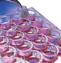 MILLICELL CELL CULTURE INSERT 24 WELL, 12 MM, HYDROPHILIC PTFE, 0.4 µM, 50 INDIVIDUALLY BLISTER PACKAGED