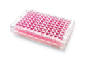 MILLICELL-96 CELL CULTURE INSERT PLATE, CLEAR, 4.0 µM PORE, POLYCARBONATE (PC), 5 PLATES