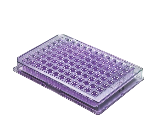 PLACA DE FILTRACION MILLIPORE MULTISCREEN PARA PURIFICACION DE PCR, 96 MUESTRAS, VOLUMEN DE REACCIÓN 1-150 UL. PAQUETE POR 10.