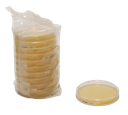 PLACAS PETRI PREPARADAS SABORAURD-Gluc-A w. LTHTh -LI 30ml AREAS ISO 7-8 y 9. CANTIDAD 120 PLACAS. MARCA MERCK