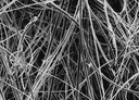 PREFILTROS MERCK MILLIPORE, TIPO APFF, 0.7 MICRAS DE PORO, 142 MM DE DIAMETRO.
