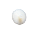 UNIDADES DE FITLRACION MILLIPORE TIPO MILLEX-PTF, MEMBRANA EN TEFLON PTFE HIDROFICO, 5 MICRAS DE PORO, 25 MM DE DIAMETRO. NO ESTERIL, CAJA/50
