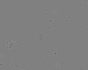 Sulfur PESTANAL®, analytical standardCACO-2 CELL LINE HUMAN FROM HUMAN COLON(CAUCADENOCARCINOMA) 1 VIAL