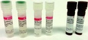SIGMA-ALDRICH KIT CUANTITATIVO PARA RT-qPCR ONE STEP SYBR® GREEN RT-qPCR