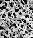 MEMBRANA MILLIPORE TIPO DURAPORE PVDF WH DE 5 UM, 47 MM DE DIAMETRO PAQ/100