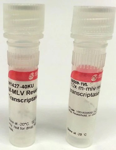 SIGMA-ALDRICH TRANSCRIPTASA INVERSA M-MLV