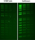 COLORANTE PARA GEL DE ELECTROFORESIS GELGREEN®