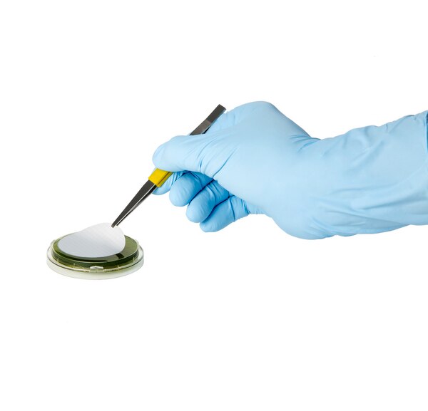 READYPLATE 55 M-GREEN AGAR PARA DETECCION DE LEVADURA, MOHO Y BACTERIAS ACIDURICAS PLATE 55mm PAC/20