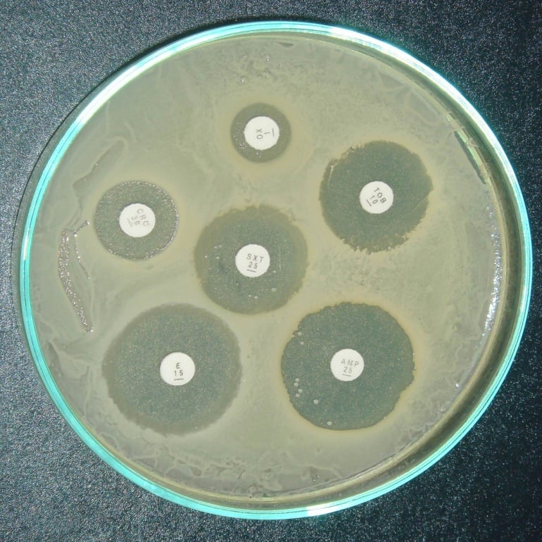 AGAR MUELLER- HINTON PARA PRUEBAS DE SENSIBILIDAD DE PATOGENOS CLINICAMENTE IMPORTANTES. SOLUBILIDAD 35 G/L (95 °C). 500G/BOTELLA DE PLASTICO. ALMACENAR DE +15°C A +25°C.