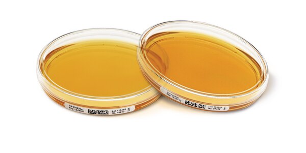 PLACAS PETRI PREPARADAS TSA w. LTHTh - ICR 30ml PARA LAS AREAS ISO 5 y 6. CATIDAD: 20 PLACAS. MARCA MERCK