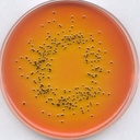 AGAR SS (SALMONELLA SHIGELLA)REF. ISO 6579 GRANUCULT ® PRIMER PRESENTACION 500 gr