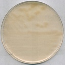 AGAR R2A PARA MICROBIOLOGIA. 500 GRAMOS. MARCA MERCK
