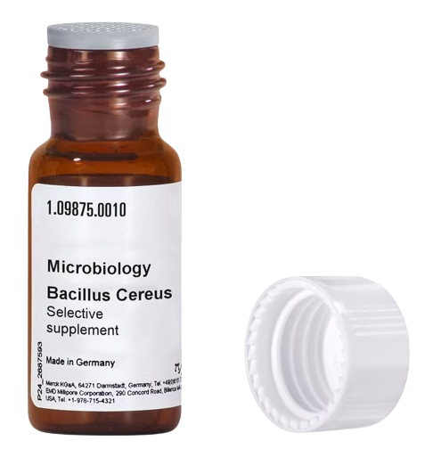 LACTAMASA NATIVA DE BACILLUS CEREUS 569/H9. 500 UNIDADES