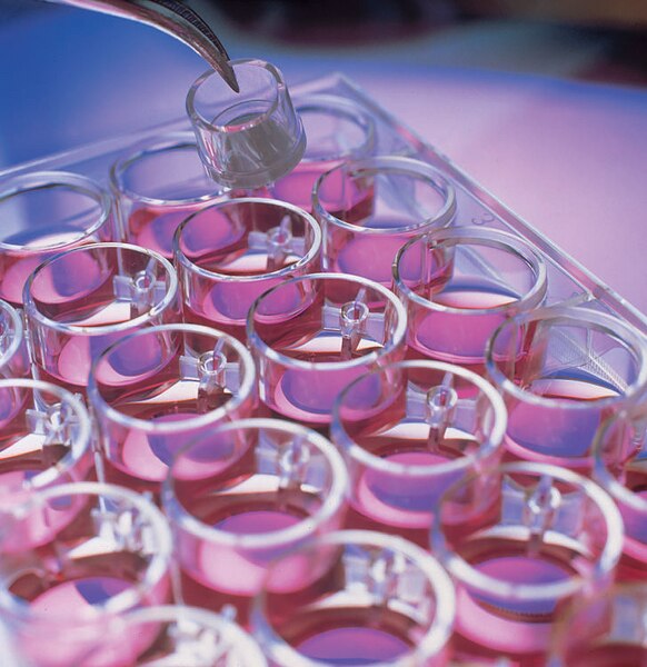 MILLICELL CELL CULTURE INSERT 24 WELL, 12 MM, HYDROPHILIC PTFE, 0.4 µM, 50 INDIVIDUALLY BLISTER PACKAGED