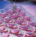 MILLICELL CELL CULTURE INSERT 6 WELL, 30 MM, HYDROPHILIC PTFE, 0.4 µM, 50 INDIVIDUALLY BLISTER PACKAGED
