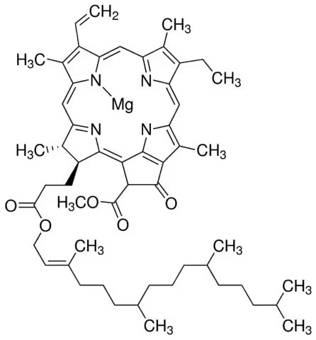 CLOROFILA A  5MG