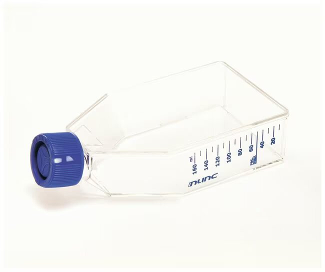 MATRACES DE CULTIVO CELULAR SUPERFICIE 25 CM2, CUELLO ANGULADO, TAPA (ESTILO FENÓLICO) 100 UNIDADES  VOLUMEN MÁXIMO: 10 ML SUPERFICIE: 25 CM2 VOLUMEN DE TRABAJO: 5-7.5 ML BINDING TYPE: TISSUE CULTURE (TC)-TREATED SURFACE