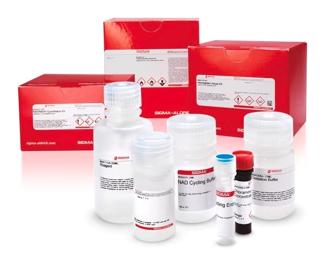 AUTOPHAGY ASSAY KIT