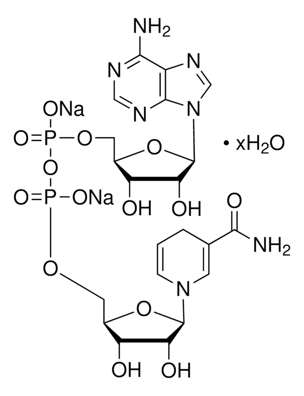 NADH / Grade II, disodium salt