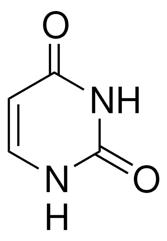 Uracil