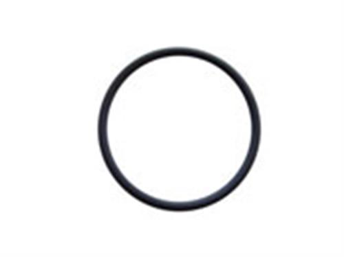 [5711352-S] O RING DE GRAFITO PARA FUENTE DE IONIZACION QPREMIER XE