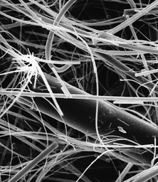 [AP1525725] PREFILTRO MILLIPORE TIPO AP-15 EN FIBRA DE VIDRIO, 257 mm DE DIAMETRO CAJA/25.