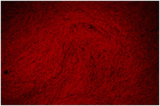 [TMS-008-C] SIGMA-ALDRICH SOLUCIÓN DE TINCIÓN ROJO DE ALZARINA, ADECUADA PARA ENSAYOS DE CULTIVO CELULAR - 2X50ML