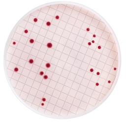 [MB000000S] MEDIO DE CULTIVO DESHIDRATADO MILLIPORE PARA RECUENTO DE ESTREPTOCOCOS FECALES. FRASCO/110 Gramos