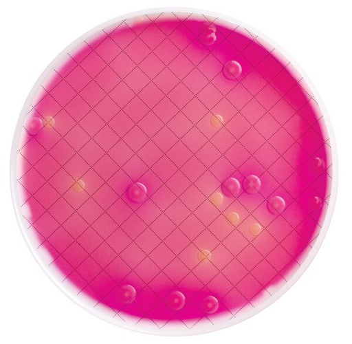 [MXSMCMC24] CASSETTE MILLIFLEX PRELLENADO CON 10 ML AGAR MC CONKEY PARA IDENTIFICACION DE ENTEROCOCOS Y ESTAFILOCOCOS PAQ/24