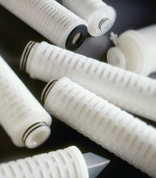 [CN1201E06] CARTUCHO MILLIPORE TIPO POLYGARD-CN, 1.2 MICRAS, CÓDIGO 0, 10" DE LONGITUD, MEDIOS DE POLIPROPILENO PLEGADO, UNIDAD