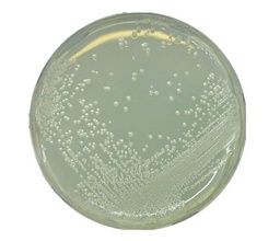 [1079940500] BAT AGAR ALICYCLOBACILLUS PREST. 500 gr