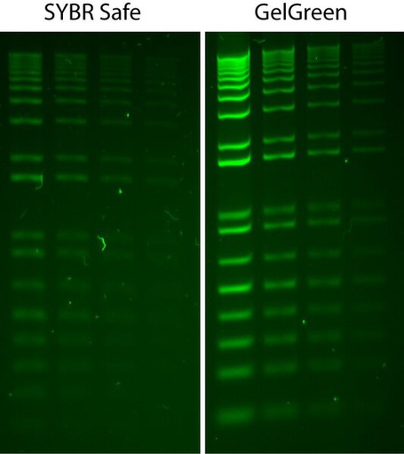 [SCT125] COLORANTE PARA GEL DE ELECTROFORESIS GELGREEN®