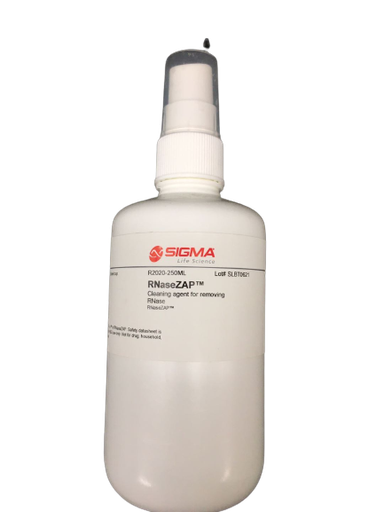 [R2020-250ML] RNASEZAP, 250ML