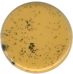 [1119720500] AGAR TSC MERCK MILLIPORE (AGAR TRIPTOSA-SULFITO-CICLOSERINA) (BASE) . SOLUBILIDAD EN AGUA 42G/L (100°C). ALMACENAR ENTRE +15°C y +25°C.