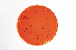 [1460730020] AGAR XLD - LI EP+USP 30 ml. IDENTIFICACIÒN DE SALMONELLA Y SHIGELLA. 20 PC