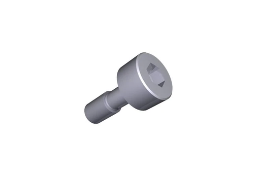 [700005448] TORNILLO DE SUJECCION WATERS M3/8 PACK/2