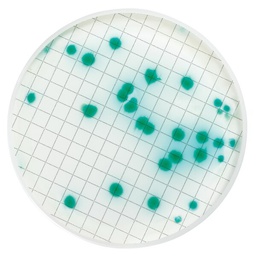 [MXSMPIA48] CASSETTE MILLIFLEX PRELLENADO CON AGAR DE AISLAMIENTO DE PSEUDOMONA . PAQ/48