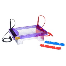 [MSCHOICETRIO-CS300] CAMARA DE ELECTROFORESIS HORIZONTAL CLEAVER SCIENTIFIC 15X7, 15X10, 15X15, 15X20, 15X25. DIMENSIONES DE LA UNIDAD 17.5X26.5X9. VOLUMEN DE BUFFER 500 ML. INCLUYE FUENTE DE PODER CS300