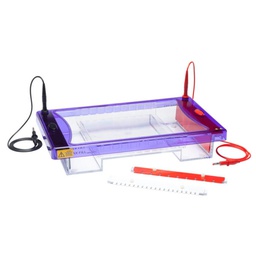 [MSMAXI20] CAMARA DE ELECTROFORESIS CLEAVER SC. MULTISUB MAXI 20X20CM
