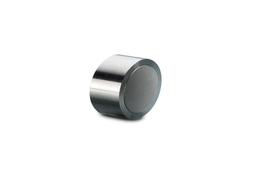 [186005444] PRECOLUMNA WATERS XSELECT CSH PHENYL-HEXYL 5µM TAMAÑO DE PARTÍCULA 19MM DE DIÁMETRO X10MM DE LONGITUD 130Å