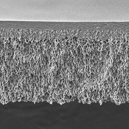 [PLCC07610] DISCOS DE MEMBRANA DE ULTRAFILTRACION ULTRACEL PL, CELULOSA REGENERADA, DE 5 KDA.DIAMETRO DEL FILTRO 76 MM. PAQUETE POR 10 MEMBRANAS. MARCA MILLIPORE