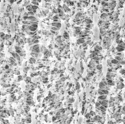[JGWP09025] MEMBRANA MILLIPORE OMNIPORE PTFE, HIDROFILA, TAMANO DE PORO 0.2 UM, DIAMETRO 90MM, COLOR BLANCO, SUPERFICIE LISA. 25/CAJA